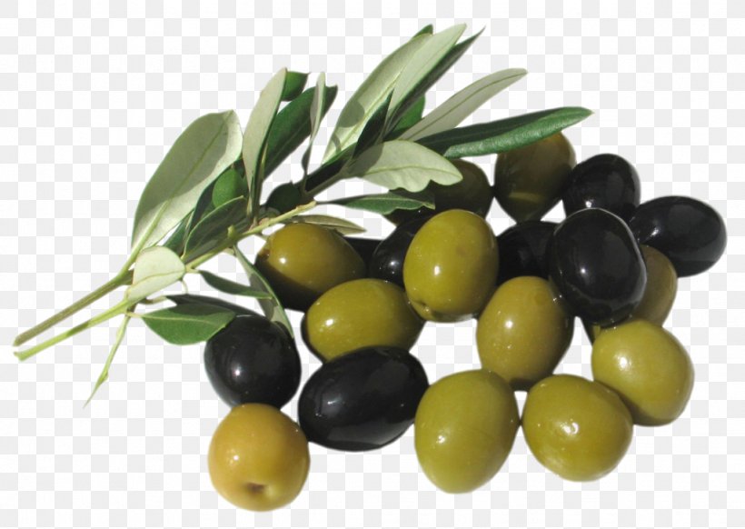 Italian Cuisine Greek Cuisine Mediterranean Cuisine Lebanese Cuisine Olive, PNG, 1024x727px, Italian Cuisine, Bay Leaf, Cooking Oils, Food, Fruit Download Free