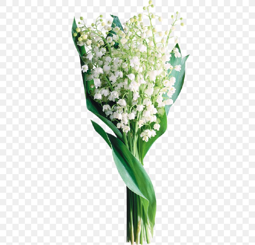 Lily Of The Valley Perfume Image Flower, PNG, 500x788px, Lily Of The Valley, Aroma Compound, Artificial Flower, Bouquet, Cut Flowers Download Free