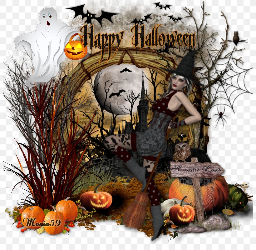 Pumpkin Halloween, PNG, 800x800px, Pumpkin, Halloween, Tree Download Free