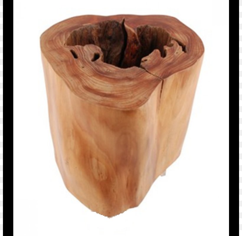 Table Trunk Wood Tree Root, PNG, 800x800px, Table, Arecaceae, Artifact, Branch, Buffets Sideboards Download Free