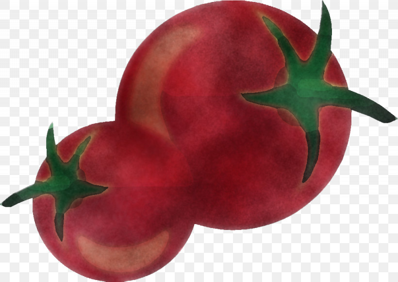 Tomato, PNG, 1025x726px, Red, Food, Fruit, Nightshade Family, Plant Download Free