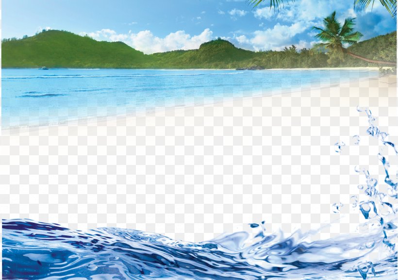 Arecaceae Wall Beach Wallpaper, PNG, 1000x704px, Arecaceae, Beach, Blue, Computer, Display Resolution Download Free