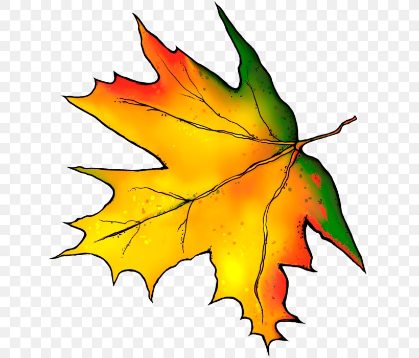 Autumn Leaves Autumn Leaf Color Maple Leaf, PNG, 641x700px, Autumn Leaves, Artwork, Autumn, Autumn Leaf Color, Computer Download Free