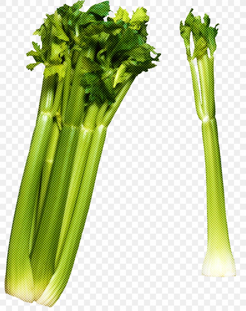 Vegetable Celery Food Leaf Vegetable Plant, PNG, 1496x1894px, Vegetable, Celery, Chinese Celery, Choy Sum, Culantro Download Free