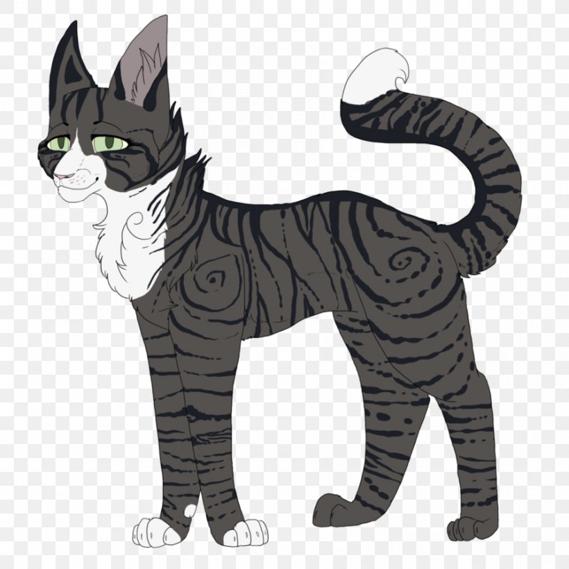 Whiskers Domestic Short-haired Cat Tabby Cat Dog, PNG, 894x894px, Whiskers, Canidae, Carnivoran, Cartoon, Cat Download Free