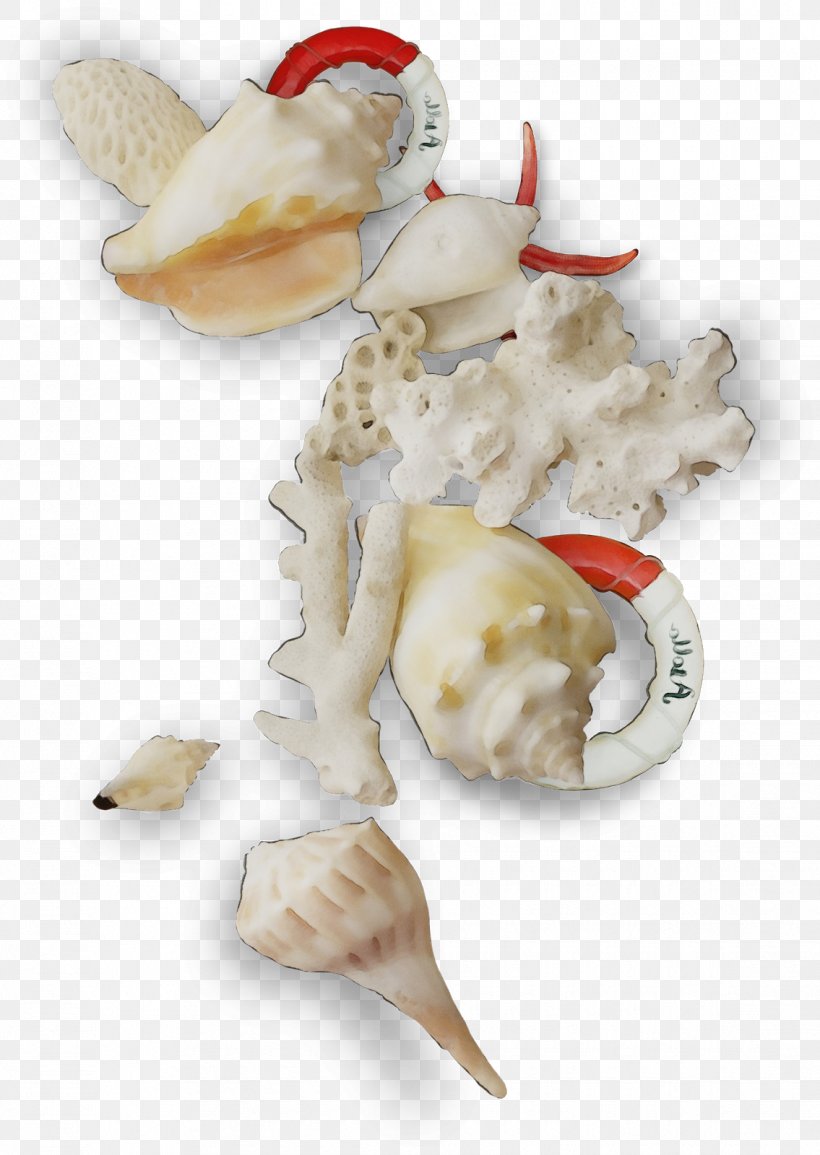 Clam Dish, PNG, 1135x1600px, Clam, Conch, Cream, Cuisine, Dish Download Free