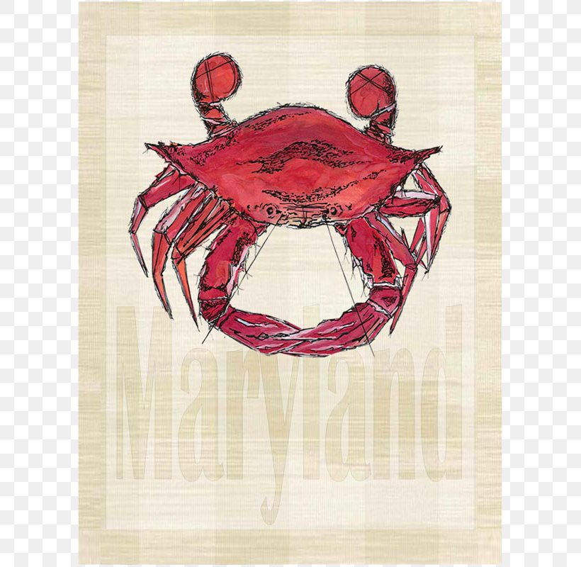 Dungeness Crab Christmas Island Red Crab Black-eyed Susan Maryland, PNG, 800x800px, Crab, Blackeyed Susan, Christmas Island, Christmas Island Red Crab, Decapoda Download Free