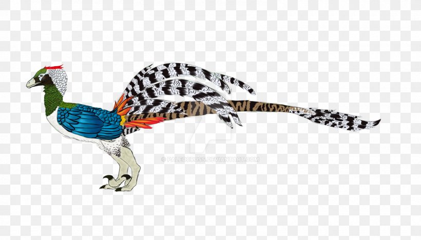 Galliformes Feather Beak Wildlife Animal, PNG, 1600x914px, Galliformes, Animal, Animal Figure, Beak, Bird Download Free