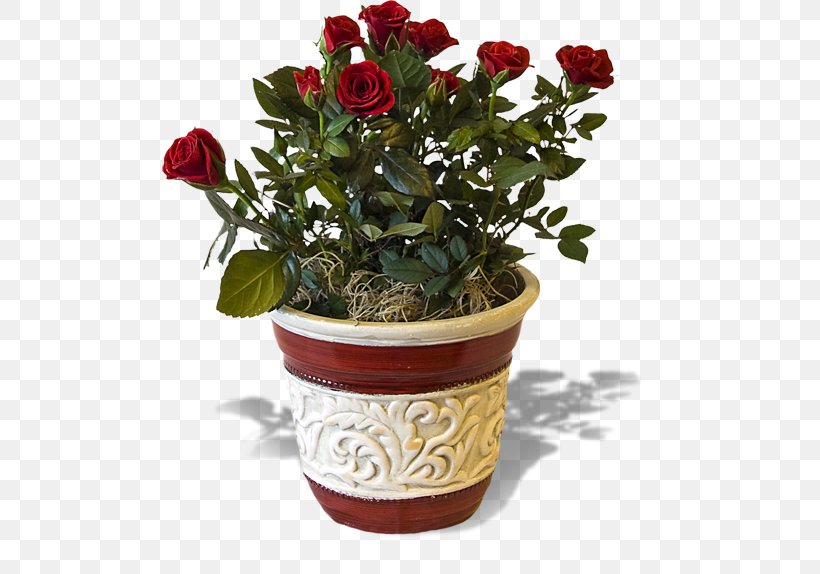 Soria Eventi Garden Roses Flower Plant, PNG, 500x574px, Rose, Artificial Flower, Cut Flowers, Flower, Flowering Plant Download Free