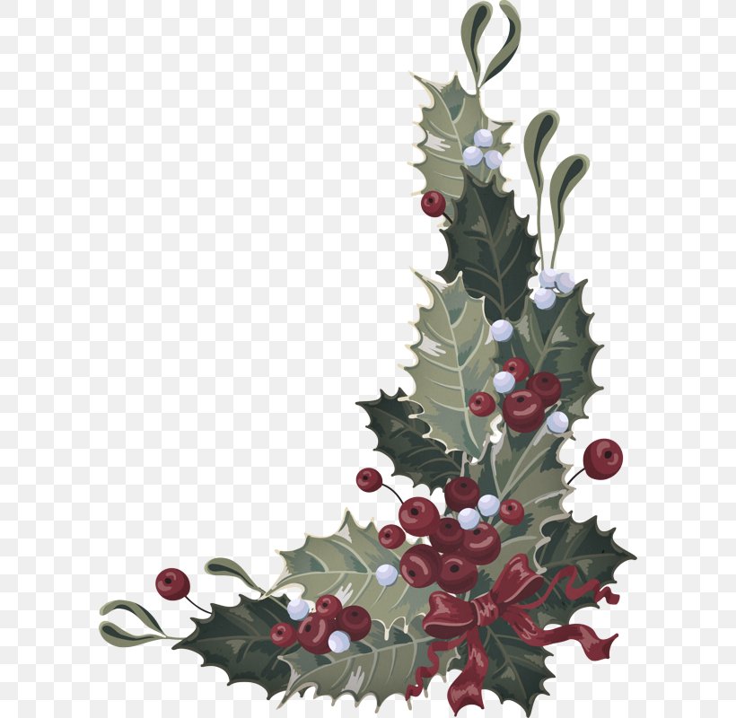 Christmas Decoration, PNG, 600x800px, Holly, Branch, Christmas Decoration, Colorado Spruce, Fir Download Free
