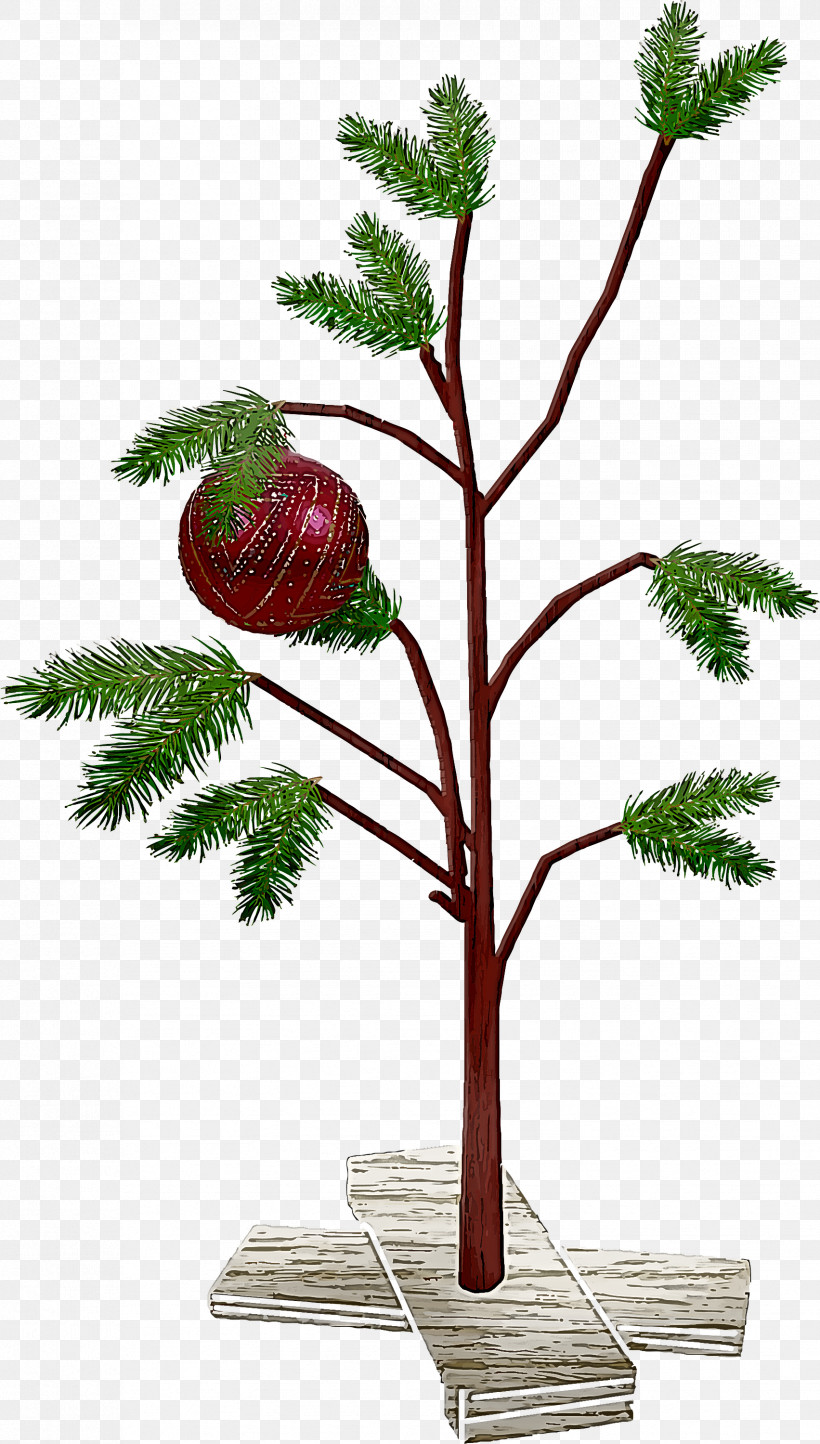Christmas Ornaments, PNG, 1703x2999px, Christmas Ornaments, American Larch, Branch, Flower, Flowerpot Download Free