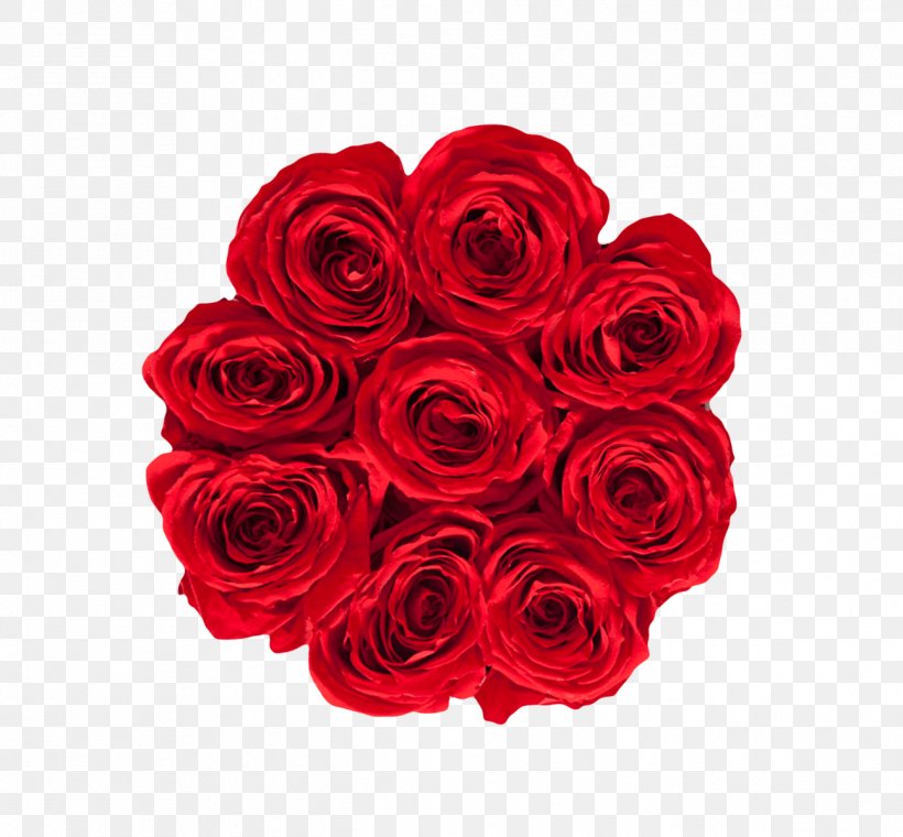 Garden Roses RE/MAX Karun Gayrimenkul Danışmanlığı RE/MAX INTEGRA Ontario-Atlantic Inc. RE/MAX, LLC Real Estate, PNG, 1294x1200px, Garden Roses, Cabbage Rose, Cut Flowers, Floral Design, Floristry Download Free