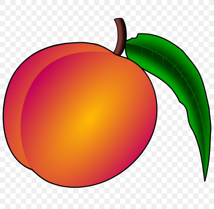 Peach County, Georgia Clip Art, PNG, 800x800px, Peach, Apple, Color, Dessert, Flowering Plant Download Free