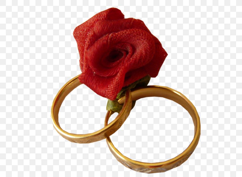 Wedding Ring Garden Roses, PNG, 600x600px, Ring, Body Jewelry, Couple, Cut Flowers, Fashion Accessory Download Free