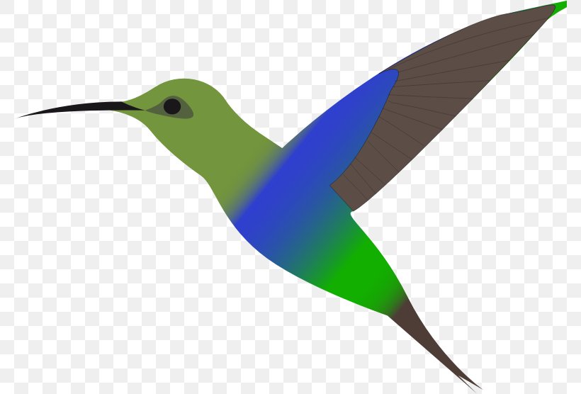 Hummingbird Clip Art, PNG, 781x556px, Hummingbird, Beak, Bird, Blackchinned Hummingbird, Document Download Free