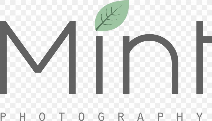 Logo Brand Green MINT Kids Photography, PNG, 2977x1706px, Logo, Brand, Child, Diagram, Green Download Free