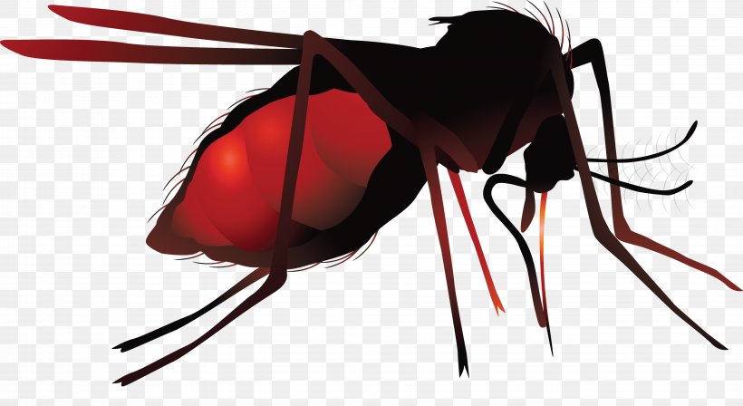 Mosquito Net Zika Virus Hematophagy, PNG, 3514x1920px, Mosquito, Arthropod, Beetle, Computer Software, Data Download Free