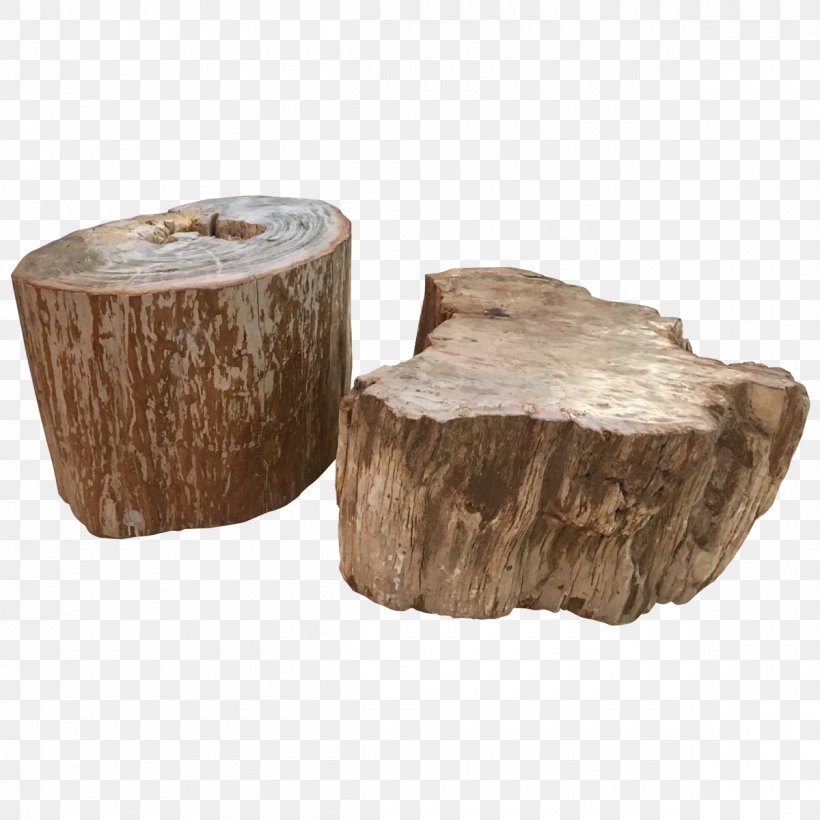 Table Furniture Petrified Wood Petrifaction, PNG, 1200x1200px, Table, Designer, Furniture, Indonesia, Indonesian Language Download Free