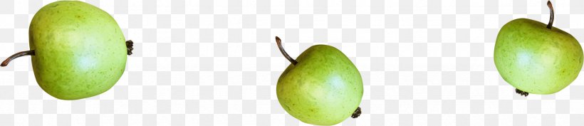Apple Download Clip Art, PNG, 2362x512px, Apple, Auglis, Bud, Commodity, Copyright Download Free