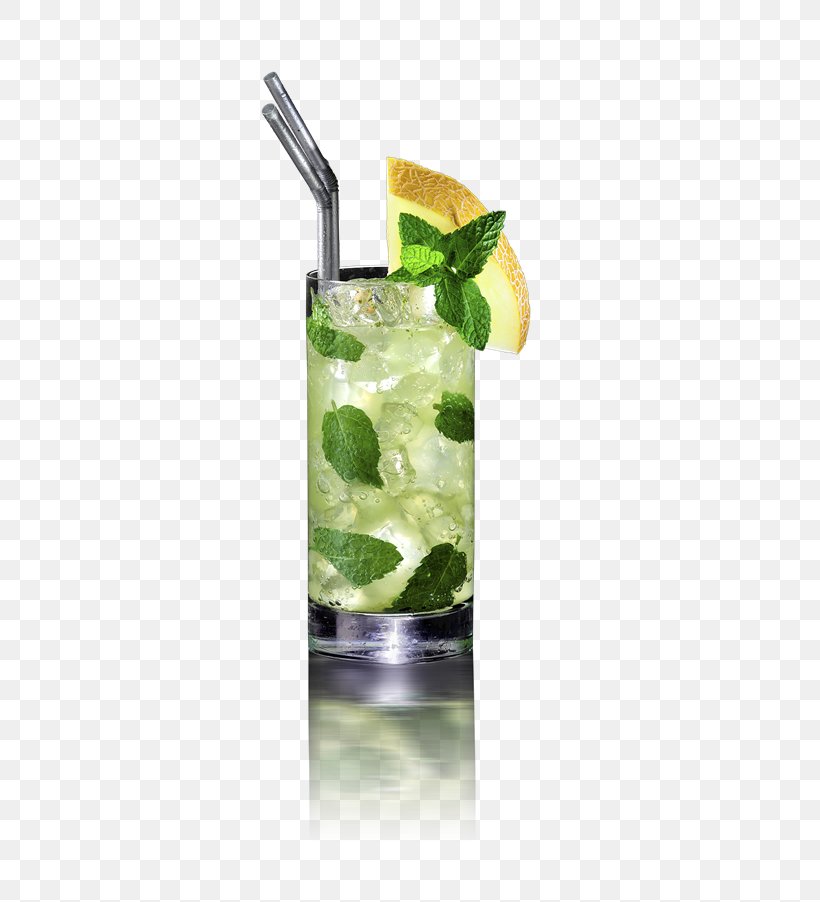 Mojito Caipirinha Cocktail Garnish Gin And Tonic, PNG, 480x902px, Mojito, Caipirinha, Caipiroska, Cocktail, Cocktail Garnish Download Free