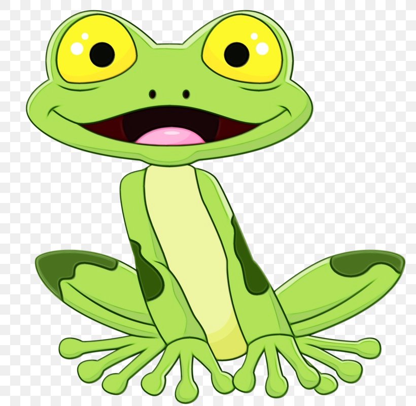 Frog True Frog Green Cartoon Toad, PNG, 783x800px, Watercolor, Cartoon, Frog,  Green, Hyla Download Free