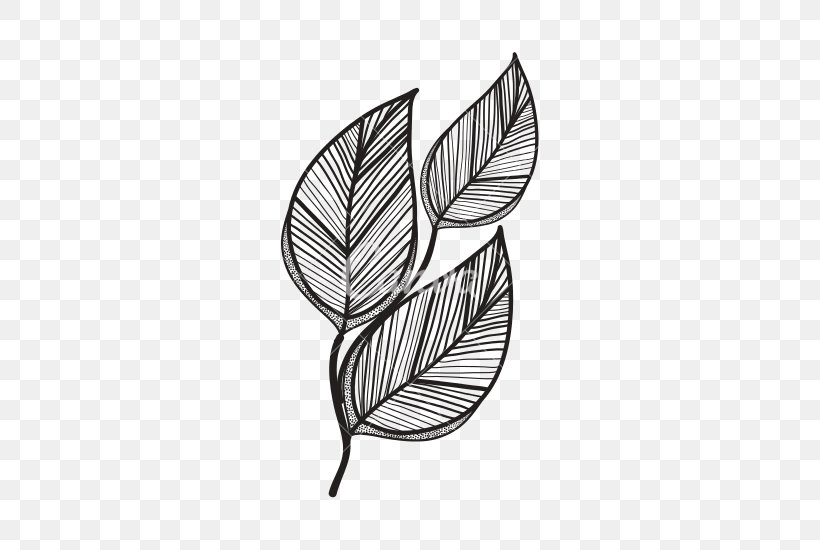 Leaf Clip Art, PNG, 550x550px, Leaf, Black And White, Branch, Drawing, Flora Download Free