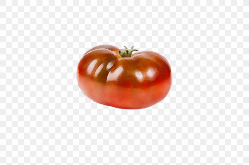 Tomato, PNG, 1200x800px, Watercolor, Apple, Genus, Natural Food, Paint Download Free