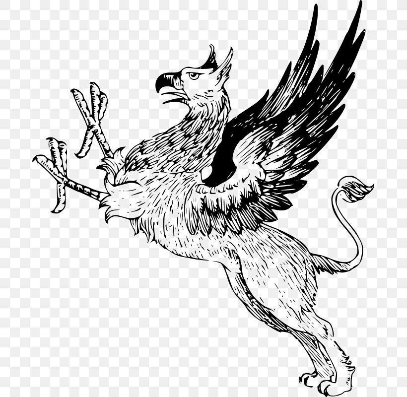 Griffin Legendary Creature Clip Art, PNG, 689x800px, Griffin, Art, Artwork, Beak, Bird Download Free