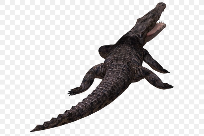 Alligators Crocodiles Clip Art, PNG, 600x547px, Alligators, Alligator, Animal, Animal Figure, Crocodile Download Free