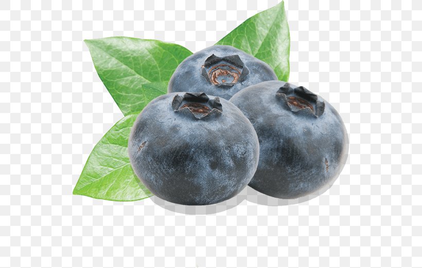 Blueberry Bilberry Fruit Driscoll's, PNG, 539x522px, Blueberry, Antioxidant, Berry, Bilberry, Color Download Free
