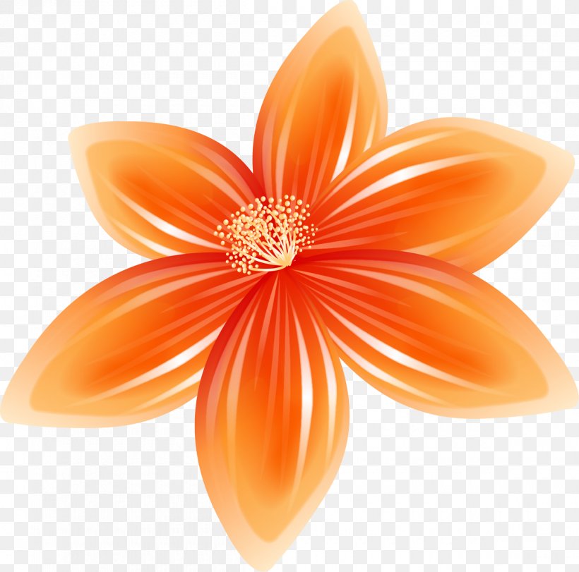 Cut Flowers Petal, PNG, 1200x1188px, Flower, Cut Flowers, Orange, Peach, Petal Download Free