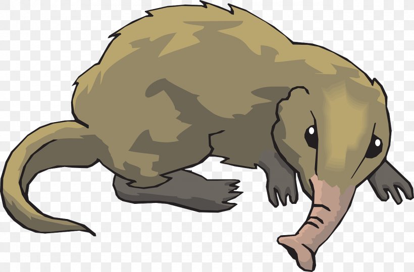 Elephant Shrew Clip Art, PNG, 1280x842px, Shrew, Amphibian, Animal Figure, Art, Artwork Download Free