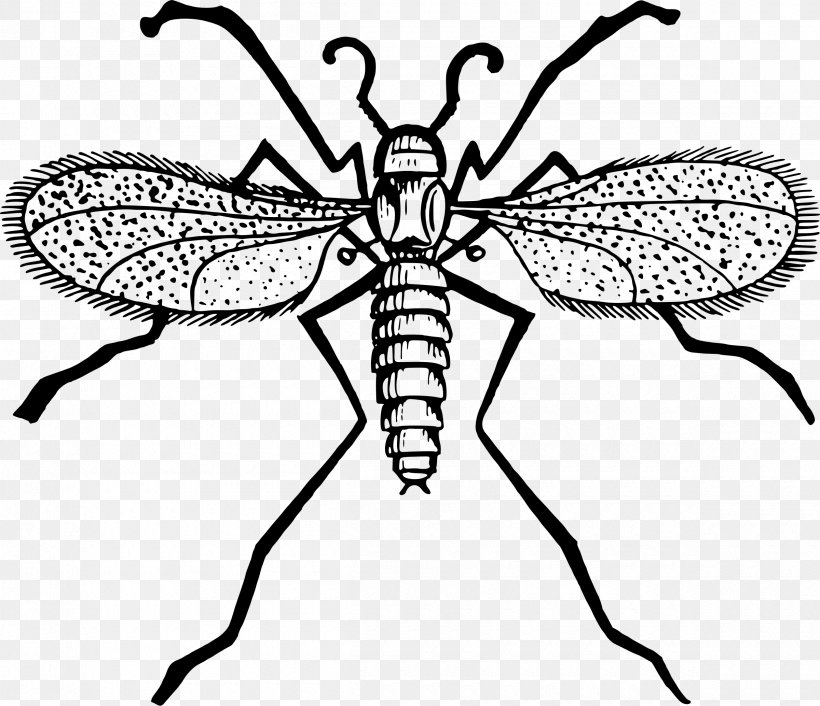 Fly Mosquito Gnat Clip Art, PNG, 2400x2069px, Fly, Arthropod, Artwork, Black And White, Butterflies And Moths Download Free