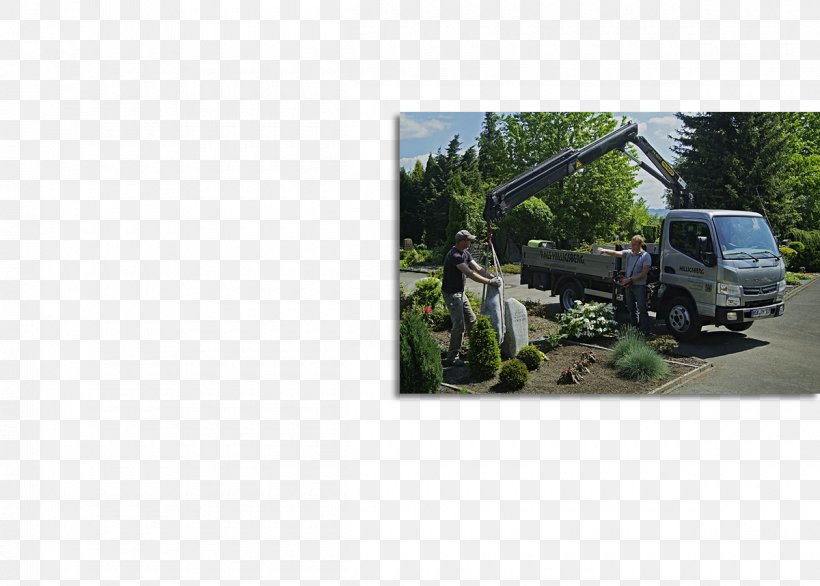 Motor Vehicle Plant Community Tree Land Lot Transport, PNG, 1200x859px, Motor Vehicle, Community, Grass, Land Lot, Machine Download Free