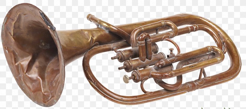 Musical Instruments Cornet Euphonium Trumpet, PNG, 866x387px, Watercolor, Cartoon, Flower, Frame, Heart Download Free