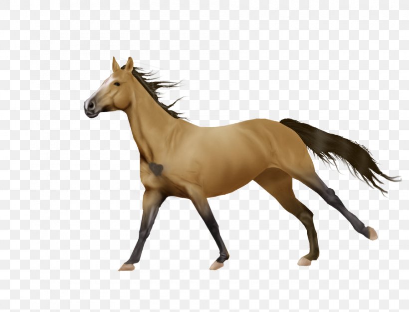 Mustang Foal Mare Stallion Art, PNG, 900x686px, Mustang, Animal Figure, Art, Colt, Deviantart Download Free