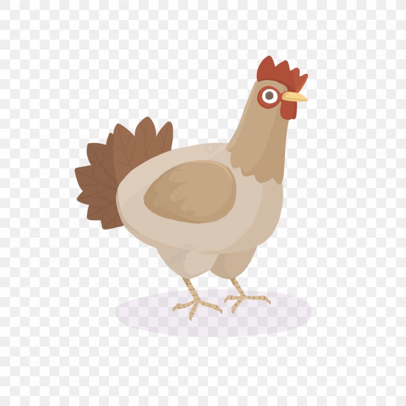 Bird, PNG, 2000x2000px, Chicken, Animal, Art, Beak, Bird Download Free