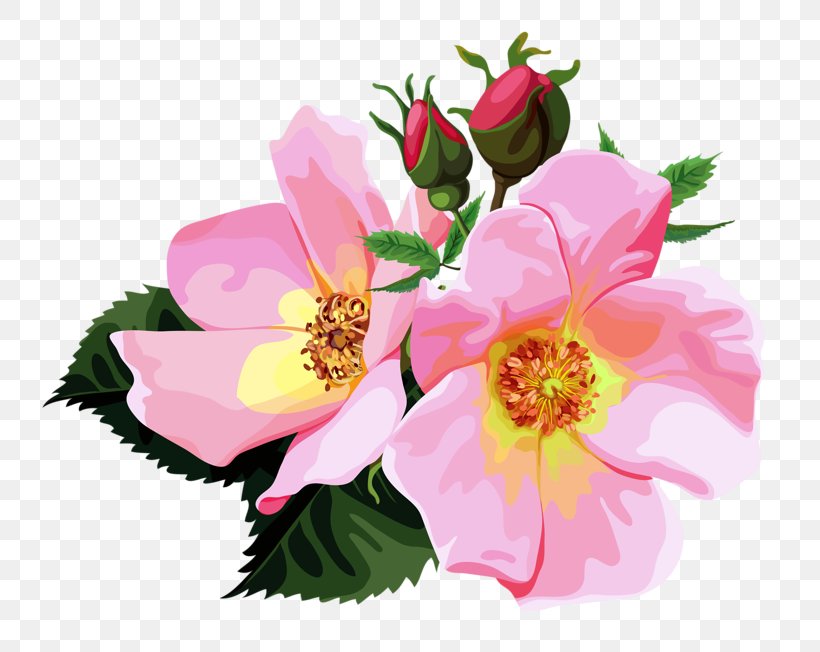 Flower Bouquet Rose Clip Art, PNG, 800x652px, Flower Bouquet, Annual Plant, Cut Flowers, Floral Design, Floribunda Download Free