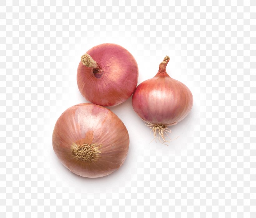 Yellow Onion Shallot Figueres Onion Garlic Ryvita, PNG, 1500x1282px, Yellow Onion, Cracker, Crispbread, Cultivar, Food Download Free