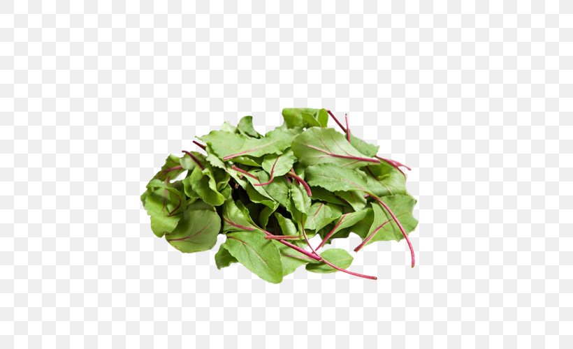 Chard Leaf Vegetable Salad Arugula, PNG, 500x500px, Chard, Arugula, Chicken Salad, Flowerpot, Herb Download Free