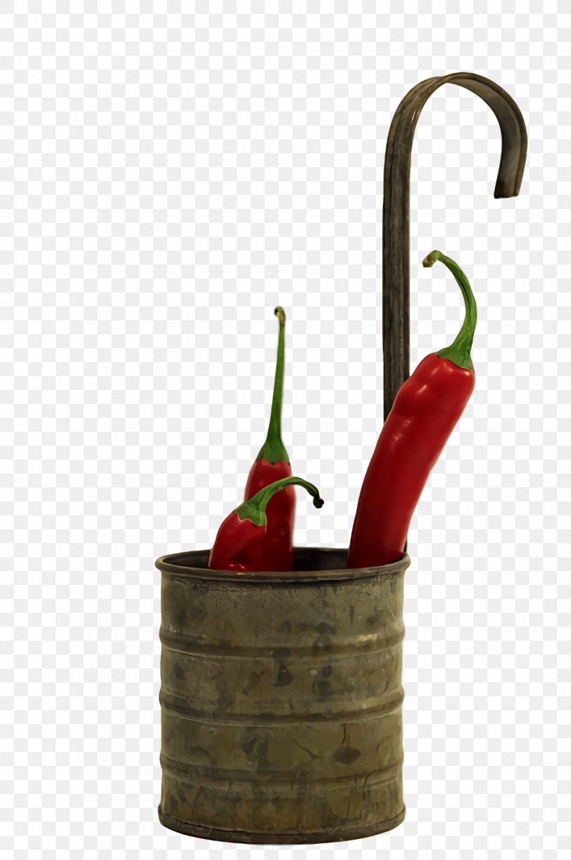 Chili Pepper Flowerpot, PNG, 956x1440px, Chili Pepper, Flowerpot Download Free