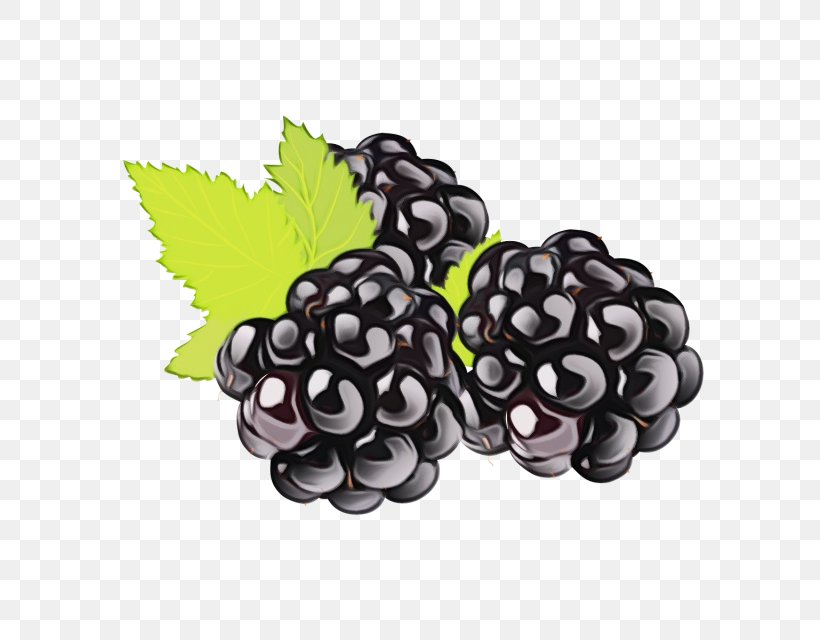 Grape Fruit Blackberry Grapevine Family Berry, PNG, 640x640px, Watercolor, Berry, Blackberry, Food, Fruit Download Free