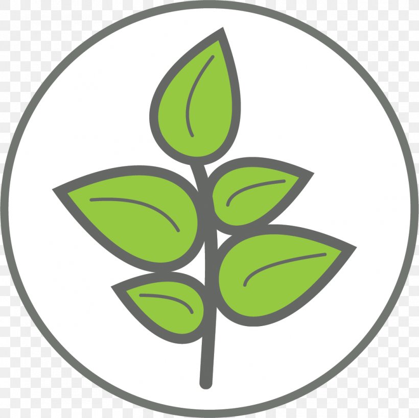 Green Leaf Logo, PNG, 1061x1060px, Leaf, Data, Emblem, Energy, Green Download Free
