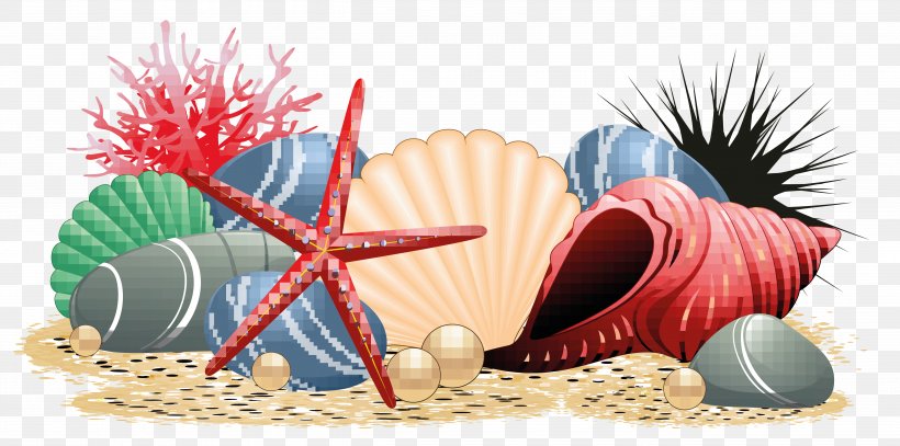 Seashell Beach Starfish, PNG, 5206x2588px, Seashell, Beach, Cartoon, Fossil, Marine Biology Download Free