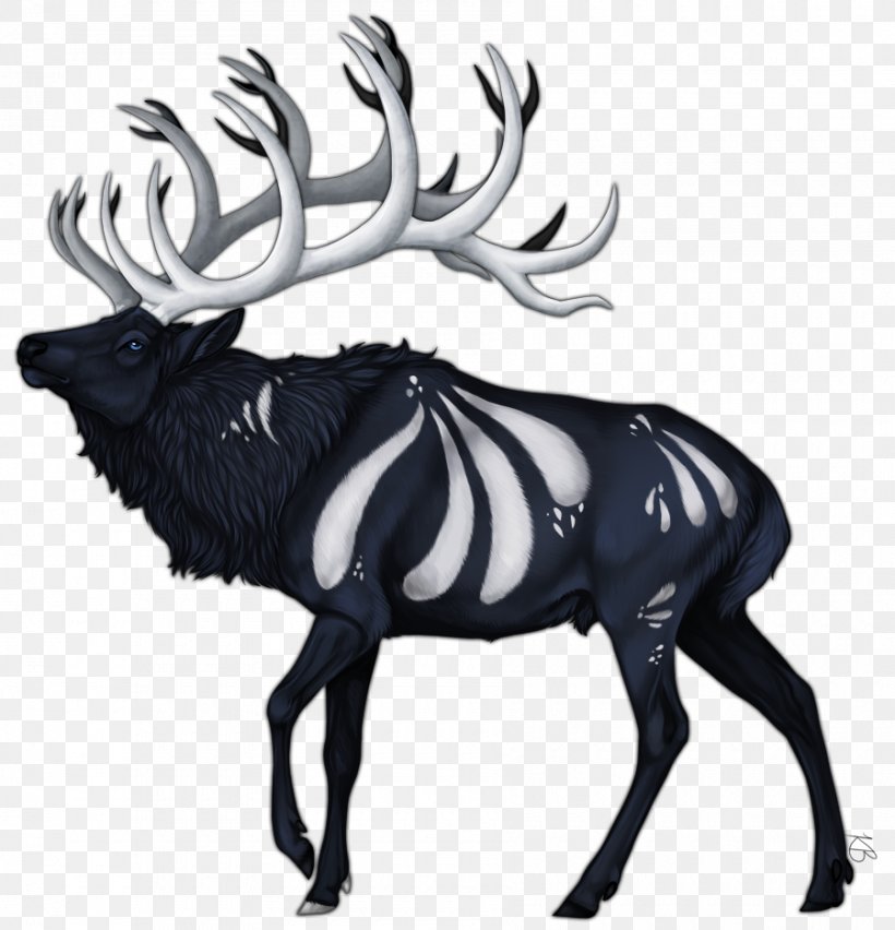 Reindeer Elk Antler White Wildlife, PNG, 900x936px, Reindeer, Antler, Black And White, Deer, Elk Download Free