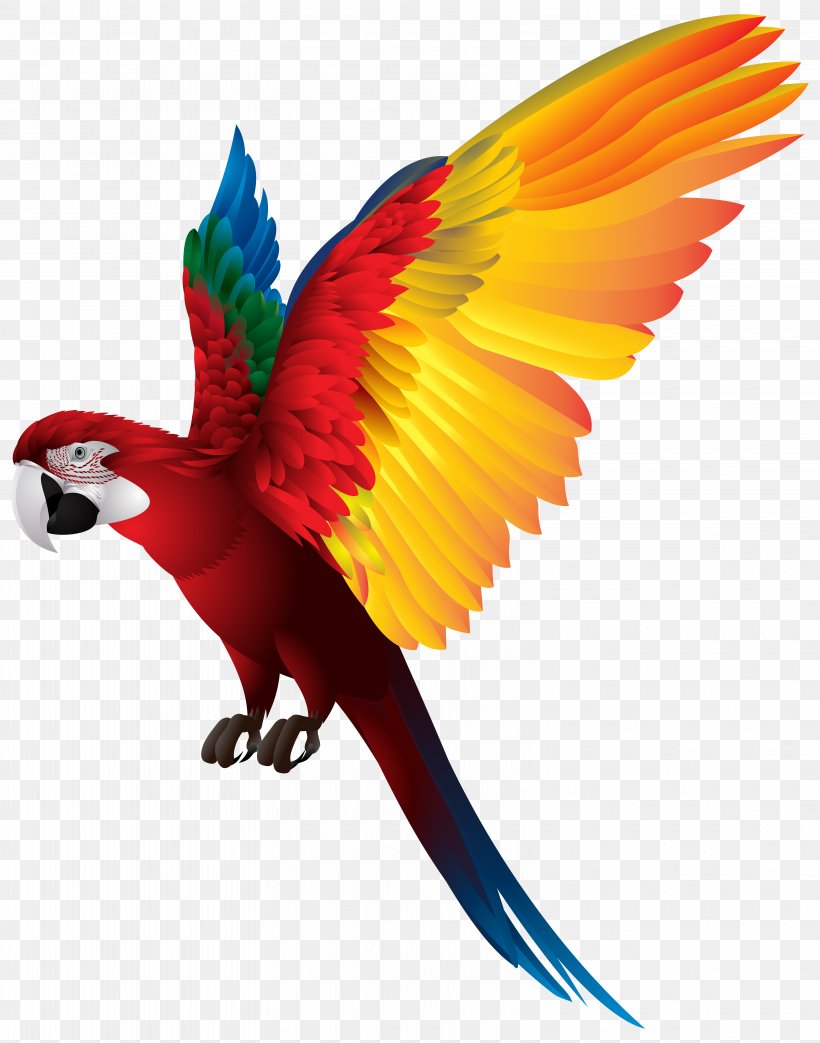 Bird True Parrot Macaw Clip Art, PNG, 6285x8000px, Bird, Animal, Beak, Feather, Lorikeet Download Free