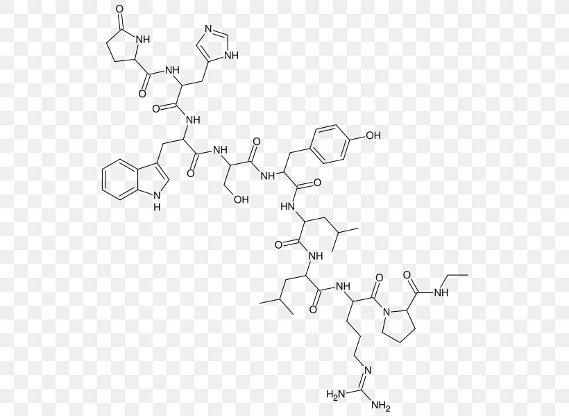 Buserelin Gonadotropin-releasing Hormone Agonist Leuprorelin, PNG, 542x599px, Gonadotropinreleasing Hormone, Acetate, Agonist, Area, Auto Part Download Free