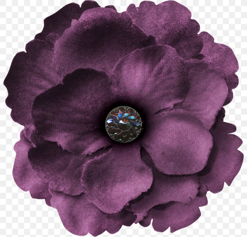 Petal Flower Purple Polyvore, PNG, 800x787px, Petal, Centifolia Roses, Flower, Flowering Plant, Leaf Download Free