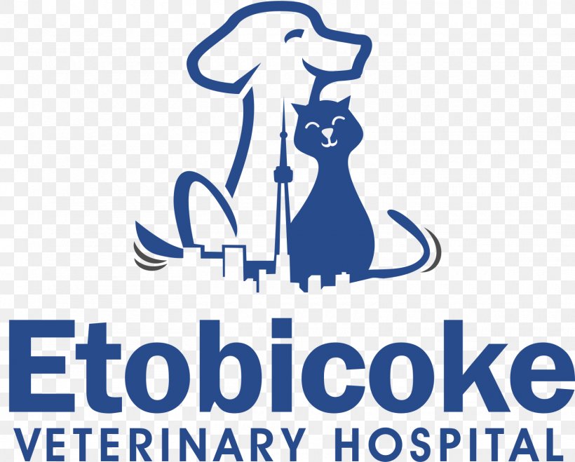 Veterinarian Clinique Vétérinaire York Mills Animal Hospital Dog Veterinary Medicine, PNG, 1560x1254px, Veterinarian, Area, Brand, Communication, Dentistry Download Free