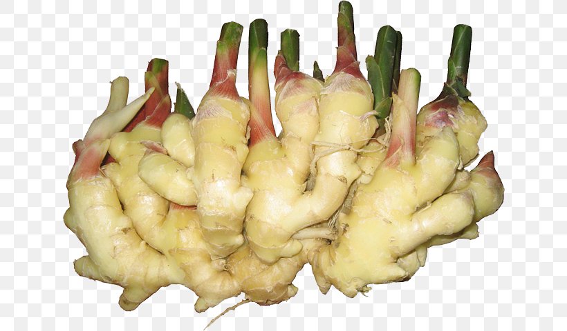 Ginger Food Vegetable Turmeric Allium Fistulosum, PNG, 640x480px, Ginger, Alibaba Group, Allium Fistulosum, Chinese Herbology, Fashionguide Download Free